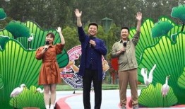 迪拜爆料网赌视频最新版,揭秘赌场内幕与风险